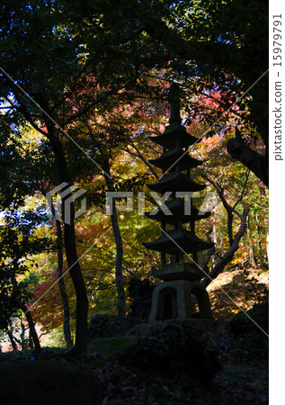 Autumn leaves of Naritasan Park in Narita-shi, Chiba Prefecture Autumn leaves of Naritasan Park in Narita-shi, Chiba Prefecture 15979791