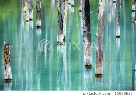 Blue pond Blue pond 15980685