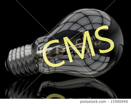 Content Management System Content Management System 15980948
