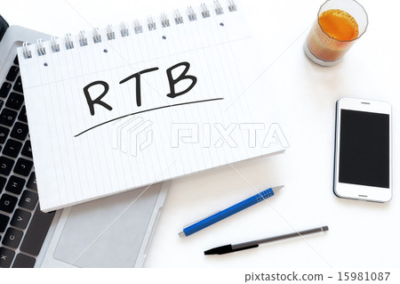 Real Time Bidding 15981087
