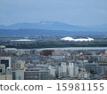 Big Swan and Ecosta 15981155