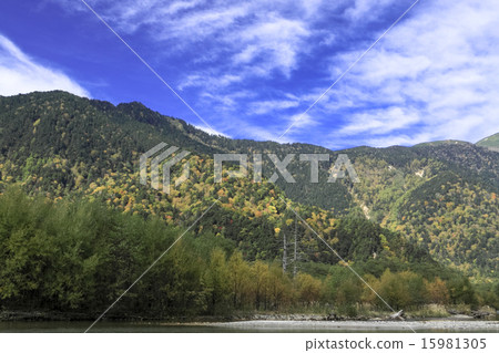Autumn leaves of Kamikochi 15981305