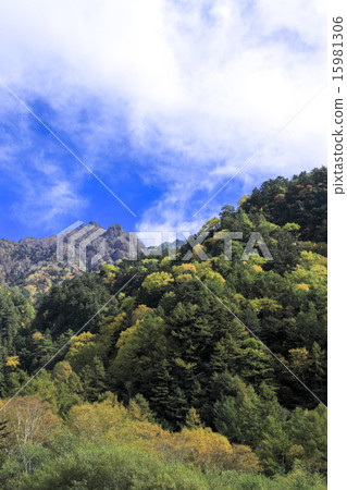 Autumn leaves of Kamikochi 15981306