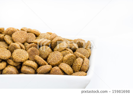 Dog food in a bowl on white background 15981698