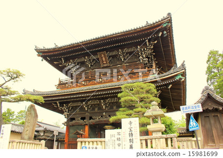 Saga Shakado Deva 15981699