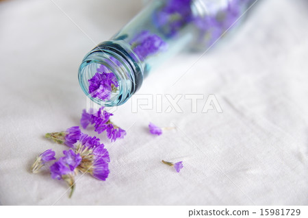 Bottles and statice 15981729