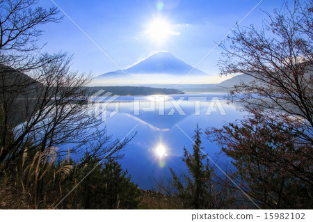 Desiring Fuji from Lake Motosu (morning) 15982102