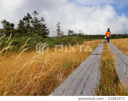 探索高原 15982471