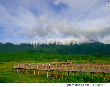 Shiretoko-Goroko Elevated tree road Shiretoko-Goroko Elevated tree road 15984532