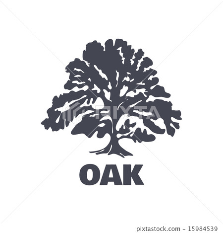 Oak Tree Logo Silhouette. Vector Oak Tree Logo Silhouette. Vector 15984539