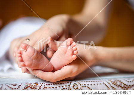 Newborn baby feet in mother's hands Newborn baby feet in mother's hands 15984904
