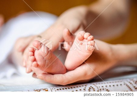 Newborn baby feet in mother's hands 15984905