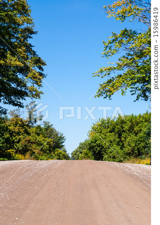 Empty dirt road rising against trees and sky Empty dirt road rising against trees and sky 15986419