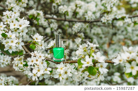 nail polish spring nail polish spring 15987287