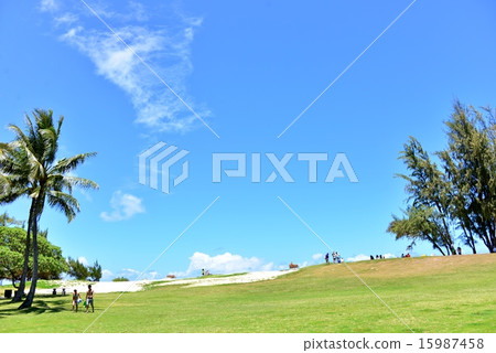 Holidays in Hawaii Holidays in Hawaii 15987458
