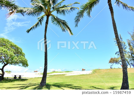 Holidays in Hawaii 15987459