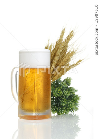 Wheat with hops and beer Wheat with hops and beer 15987510