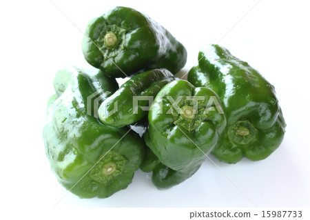 green pepper  15987733