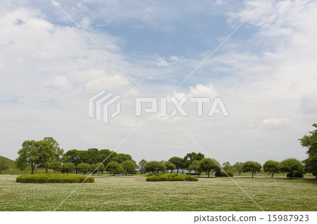 公園廣場 公園廣場 15987923