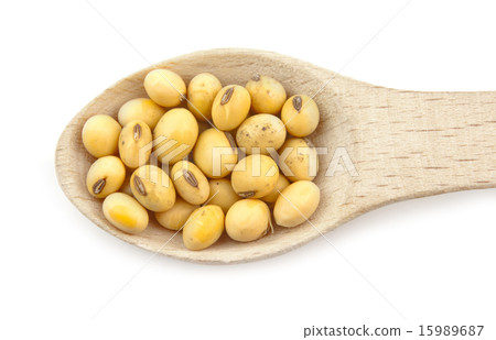 soybeans 15989687