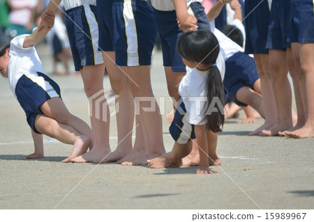 Elementary school sports festival gymnastics 15989967