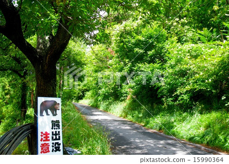 Bear appearance sign 15990364