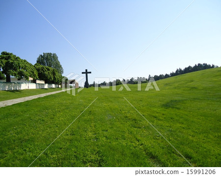 Forest cemetery 15991206