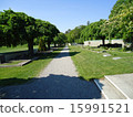 Forest cemetery 15991521