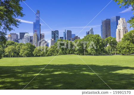 鬱鬱蔥蔥的中央公園 15991570