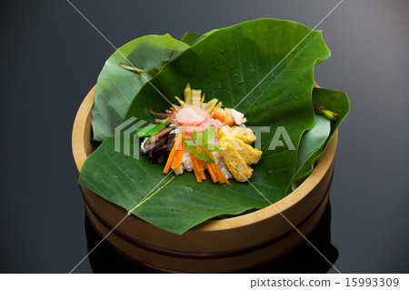 Hida's Park Sushi 15993309