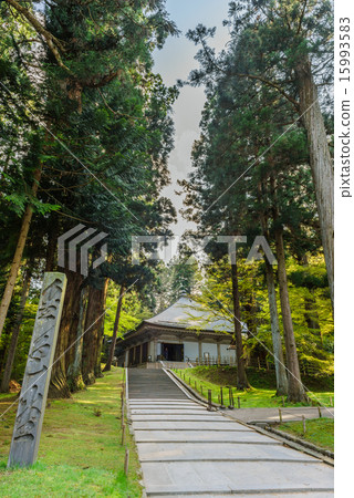 Chusonji金黃霍爾在春天 15993583