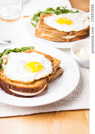 Croque Madame 15993998