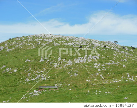 Shikoku karst 15994127