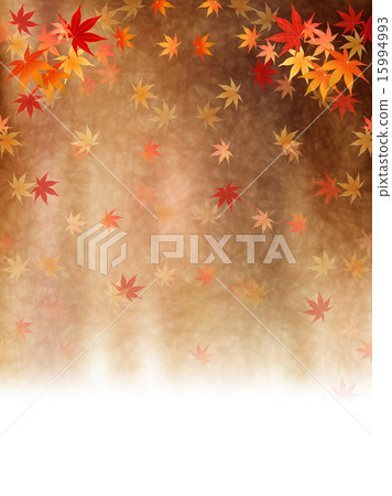 Maple autumn leaves background Maple autumn leaves background 15994993