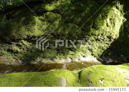 Water flowing through the mossy groove of the ancient capital 15995173
