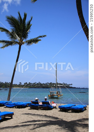 男性和女性放鬆在夏天的床上 男性和女性放鬆在夏天的床上 15995250