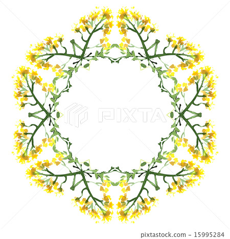 Illustration with flowers and leaves   15995284