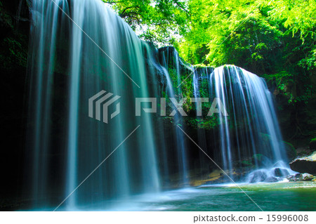 新鮮的綠色Nabe瀑布水幕 15996008