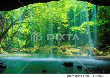 Fresh green Nabe Falls water curtain 15996009