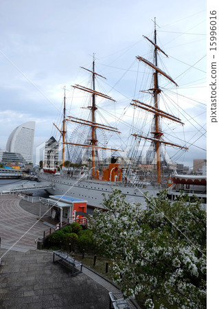可以在橫濱港未來21進入的日本丸號帆船 15996016