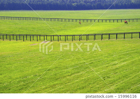 北馬公園牧場 北馬公園牧場 15996116