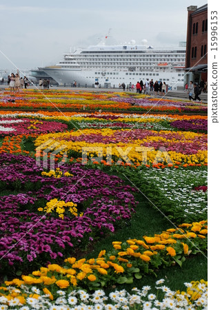 Red brick park Minato Mirai 21 Flower field Red brick park Minato Mirai 21 Flower field 15996153