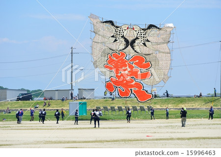 A large kite A large kite 15996463