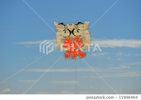 A large kite A large kite 15996464