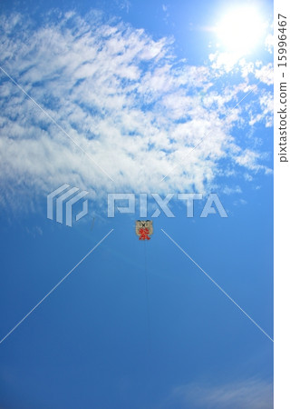 A large kite A large kite 15996467