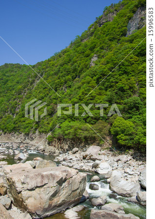 Mukogawa Valley 15996583