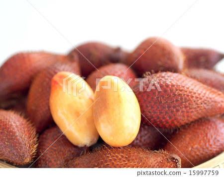 熱帶水果Salak 熱帶水果Salak 15997759