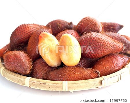 熱帶水果Salak 熱帶水果Salak 15997760