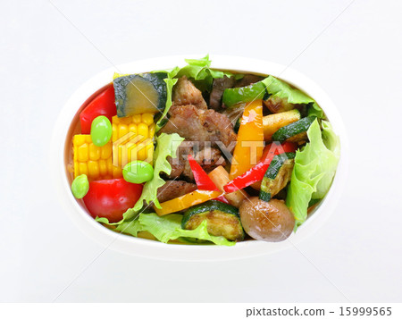 美味的便當在夏天 美味的便當在夏天 15999565
