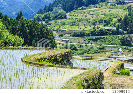 Yotsuya's thousand sheets 15999913